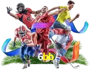 sport 6bb